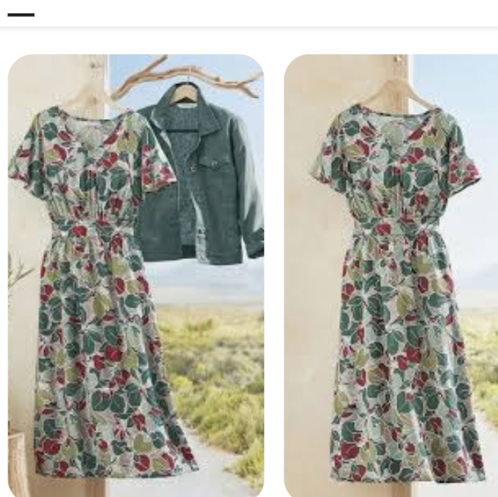 Coldwater Creek Ivy Floral Print Maxi Dress Green & Burgundy Size Small Petite